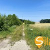 Фасад 60 м, траса Т 1006 35 соток під бізнеспромисловість, Підгірці, фото 11