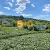 Кутова ділянка біля К. Карпат та озера в Підгірцях, Новообухівський напрямок, 8 соток, фото 3