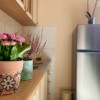 Продаж квартир в Чорногорії в Ораховці or01456.1bd_s8445, фото 15