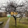Продаж будинку дуплекс смт. Козин, Конча Заспа, фото 3