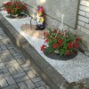 Сучасний будинок під ключ із гаражем та авторським садом., фото 10