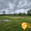 Ділянка участок 12 соток Ходосівка Ходосеевка, можливе збільшення, фото 3