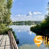Будинок, маєток 36 соток з виходом на Дніпро, басейн, СТ Острів, Золоче, фото 1