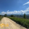 Продається Земельна ділянка в Яблуниці, фото 15