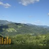Земельна ділянка  участок Плоский2 , с.Яворів, Косівський рн, фото 2