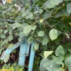 Продаж будинку з земельною ділянкою біля центральної дороги, фото 33