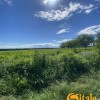 Продаж  Земля під інд. будівництво  Мічуріна, Стрижавка, фото 2