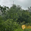 Земельна ділянка 3 гектари в Бартатові, Львівська область. Львів., фото 2
