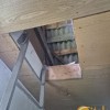 Продаж дачного будинку і  земельної ділянки, с. Бірки, Львів, фото 13