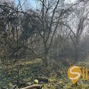 Продаж Земельна ділянка під садівництво  дача, забудова  м. Львів, рн Голоско, фото 2
