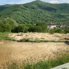 Земельна ділянка 54 сотихм.Яремче, фото 15