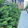 Стильна 2кімнатна квартира з авторським ремонтом у ЖК Клубне Містечко 12, фото 30
