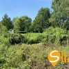 Ділянка з виходом до водойми в затишному місці Романків, СТ Барвінок, Новообухівський напрямок, 14 соток., фото 22