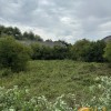 Продаж ферми у с. Никловичі, Самбірський район, Львів, фото 5