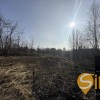 Продаж земельної ділянки під індивідуальне будівницство в Брюховичах, біля лісу, фото 4