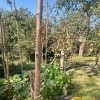 Продаж будинку, Липники, фото 7