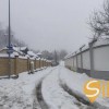 Продаж земельної ділянки під індивідуальне будівницство в Брюховичах, біля лісу, фото 6