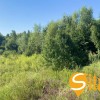 Ділянка біля гольфу та SPA Лісники, 2 хв пішки до Equides Club, Новообухівська траса, 10 соток, фото 8