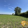 Продаж земельна ділянка під житлову забудову 1гА сс.Черлянське Передмістя Городоцький рн Львівська обл., фото 6