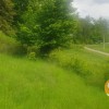 Продаж  Земля під сад, город  Винники  Львів, фото 6