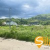 Ділянка з видом на Київські Карпати в мальовничому селі Підгірці, Новообухівська траса, 36,5 сот, фото 5