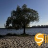 Ділянка з фундаментом, 15 кВт від ДТЕК, Осокорки, метро Славутич 1,5 км, фото 11