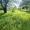 Земельна ділянка 54 сотихм.Яремче, фото 8