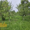 Будинок житловийКіданч Коломийський рн, фото 37