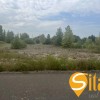 Ділянка 12 соток з електроенергією поруч озеро Святище, Осокорки, фото 4