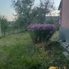 Продаж будинку  с.Старе Село, 15 хв. до м. Львів, фото 5