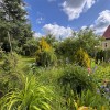 Продаж  Будинок  Енергетик, Старе Село, фото 40