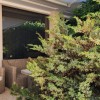 Продаж квартир в Чорногорії в Будві bd011.1bd_s8677, фото 7