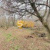 Ділянка 21 сотка з видом на ліс Гнідин , без, фото 2