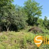 Ділянка з виходом до водойми в затишному місці Романків, СТ Барвінок, Новообухівський напрямок, 14 соток., фото 25