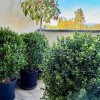 Продаж квартир в Чорногорії в Радановичі rd01309.1bd_s8448, фото 15