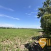 Продаж земельна ділянка під житлову забудову 1гА сс.Черлянське Передмістя Городоцький рн Львівська обл., фото 7
