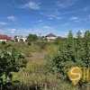 Продаж земельної ділянки в Городку, фото 2