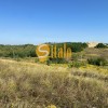 Ділянка з гарним краєвидом в Лісниках, Equides Club, Новообухівський напрямок., фото 29