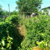 Продаж дачі с будинком, фото 4