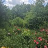 Будинок садовий вул.Довбуша м.Коломия, фото 21