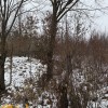 Земельна ділянка з будинком в с.Посіч 2625884601020010910, фото 6