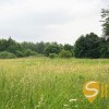 Земельна ділянка під житлову забудову с. Грушів Яворівський рн Львівська обл., фото 1