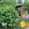 Продаж будинку в Гатному, Теремки., фото 3