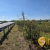 Продаж земельної ділянки в Городку, фото 4