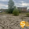 Ділянка 12 соток з електроенергією поруч озеро Святище, Осокорки, фото 8