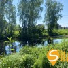 Ділянка з виходом до водойми в затишному місці Романків, СТ Барвінок, Новообухівський напрямок, 14 соток., фото 27