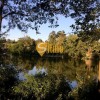 12 соток під будівництво, с. Лісне, біля озера, фото 9