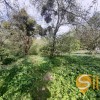 Продається земельна ділянка в м. Львів, Личаківський район  вул. Бігова, фото 9