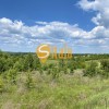 Велика ділянка  з панорамним видом під котеджне містечко в Гвоздові, Новообухівський напрямок, 1,49 Га., фото 10