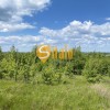 Велика ділянка  з панорамним видом під котеджне містечко в Гвоздові, Новообухівський напрямок, 1,49 Га., фото 9